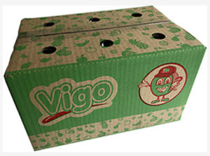 Vigo display box
